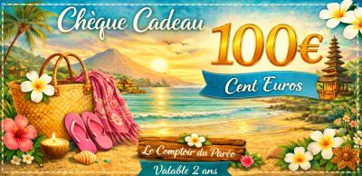 Ch�que cadeau 100 euros