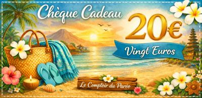 Ch�que cadeau 20 euros