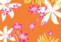 Par�o grande taille nana orange
