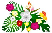 Paro Tahiti Eclat Tropical Blanc