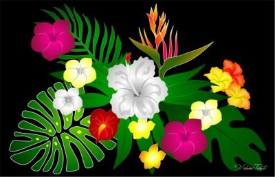 Paro Tahiti Eclat Tropical Noir