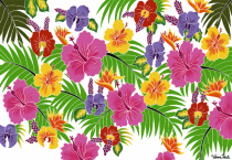 Paro Tahiti Fleurs des les blanc