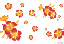 Paro Tahiti Pahoho blanc