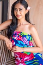 Par&eacute;os hibisucs de Tahiti bleu